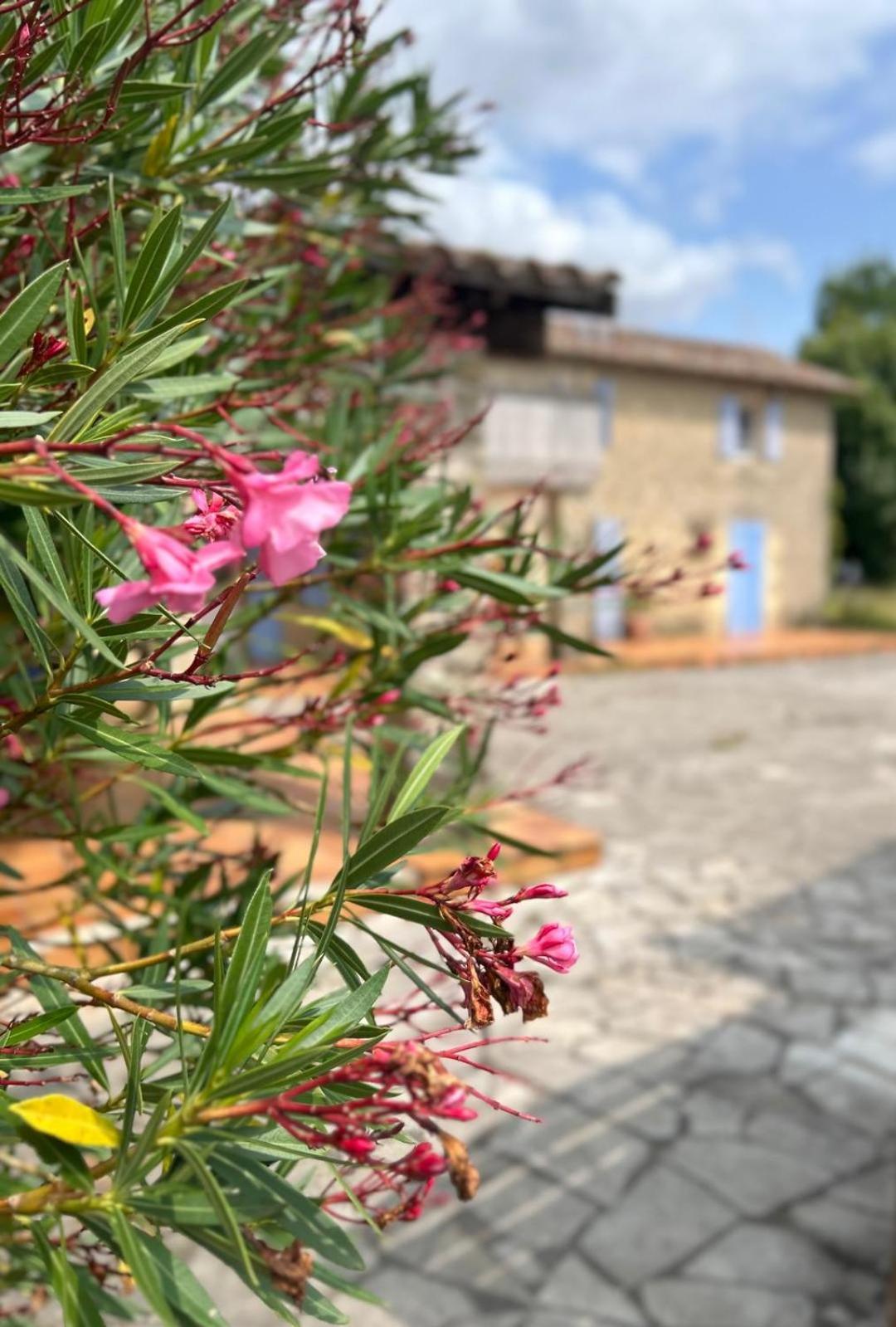 Domaine De Fontsauzine - Gites Et Chambre D'Hotes Genouille  Екстериор снимка
